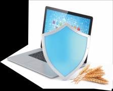 <b>打制食物平安诚信系统 20版—— 从“舌尖上的平</b>