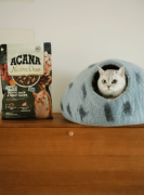  宠物食物行业旧事：爱肯拿首款冻干双拼